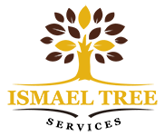 Ismael Tree Service